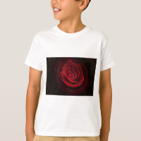 Rose Reben Herzstück Blume Frieden Liebe Destinati