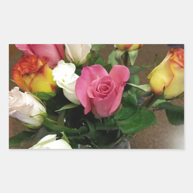 Rose Rechteckiger Aufkleber (Vorderseite)