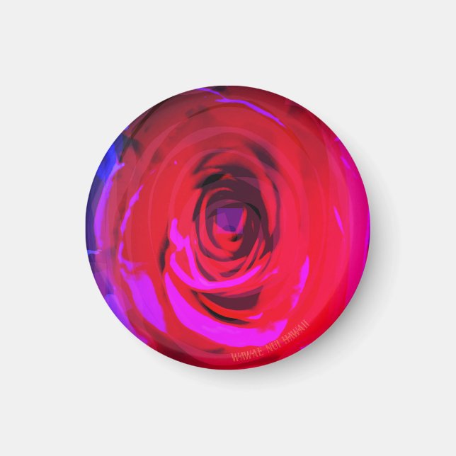 Rose Red Miami, Magnet (Vorne)