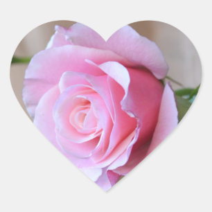 Rose Reverence Heart Stickers