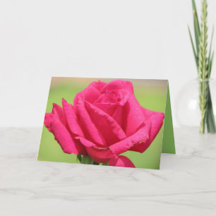 Rose riechen süßer feiertagskarte