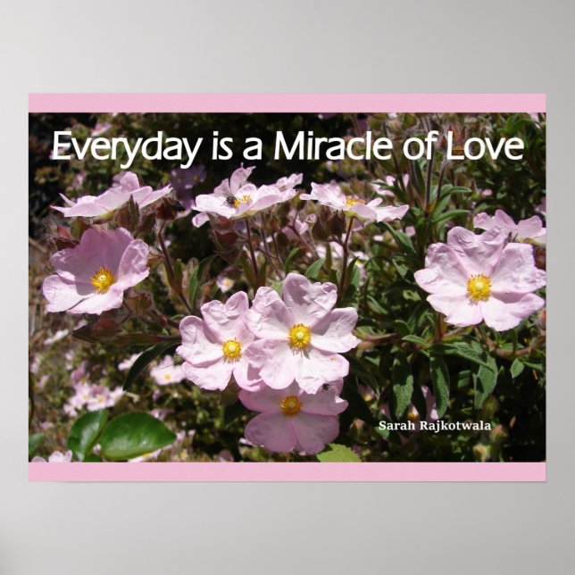 Rose Rock Rose Garden Flowers Love Poster (Devant)