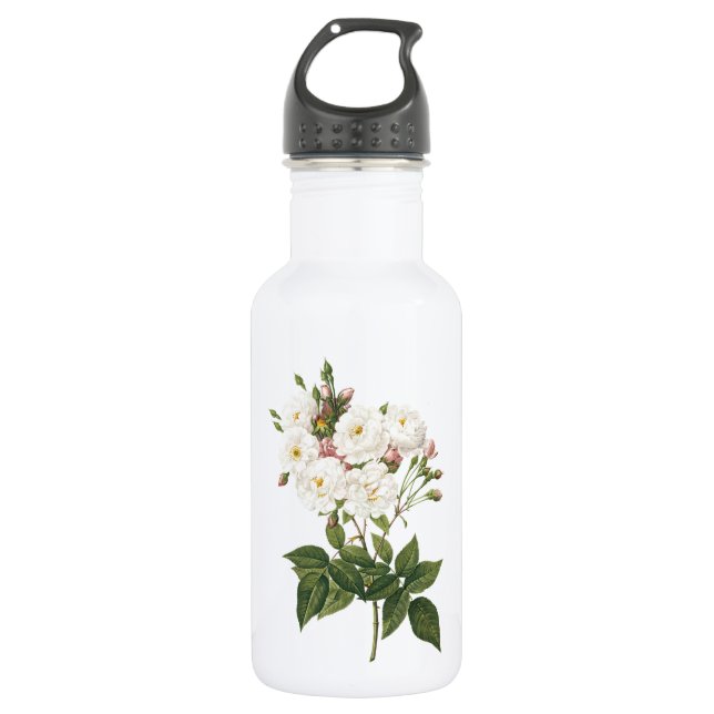 Rose Rosa noisettiana (Rosa noisettiana) von Redou Trinkflasche (Vorderseite)