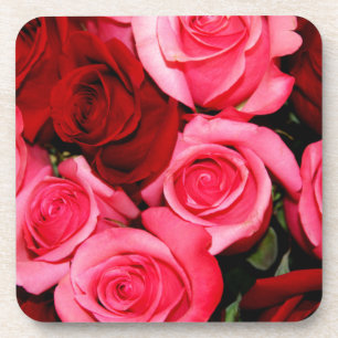Rose, rosa und rot untersetzer