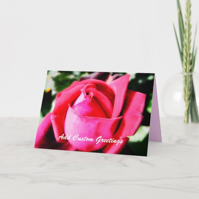 Rose rose avec la carte de voeux texte personnalis (Devant)