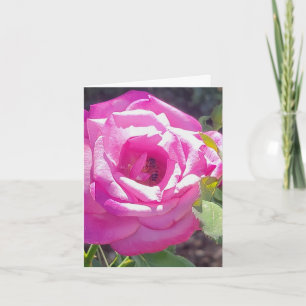 Rose rose avec une carte de voeux personnalisée au