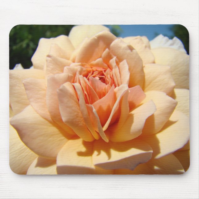 ROSE, ROSE BLUME MAUSPADS MOUSEPAD (Vorne)