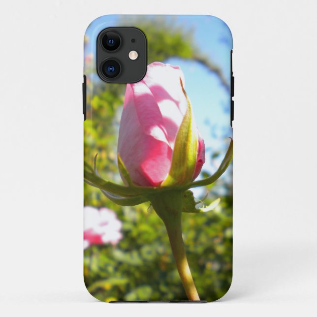 Rose Rose Bud iPhone 5 Coque (Dos)