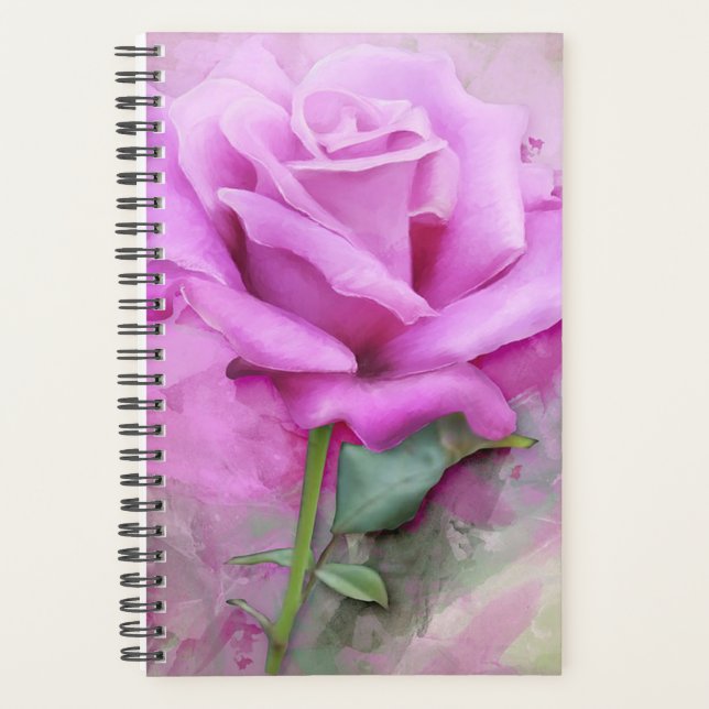 Rose rose rose (Devant)