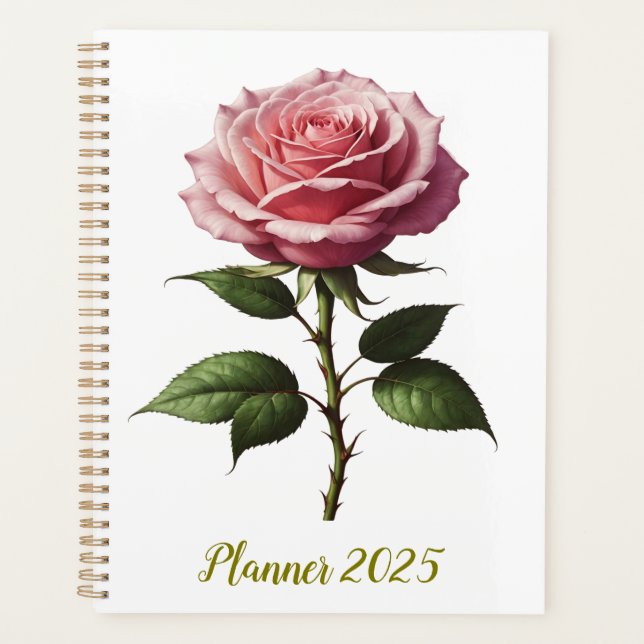 Rose rose simple rose (Devant)