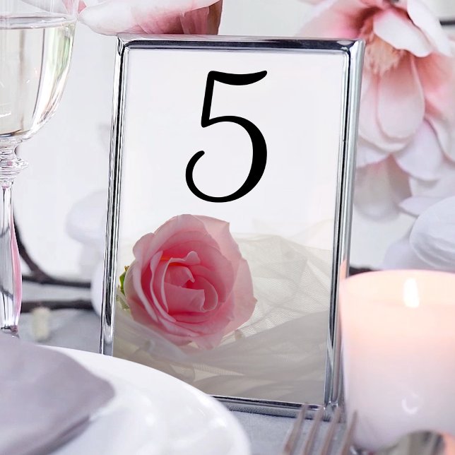 Rose rose sur le Mariage blanc numéros de table (Créateur téléchargé)