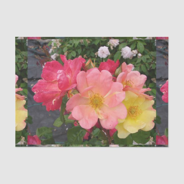 Rose Rose Wildgelbes Muster Blume Seidenpapier (Vorderseite)