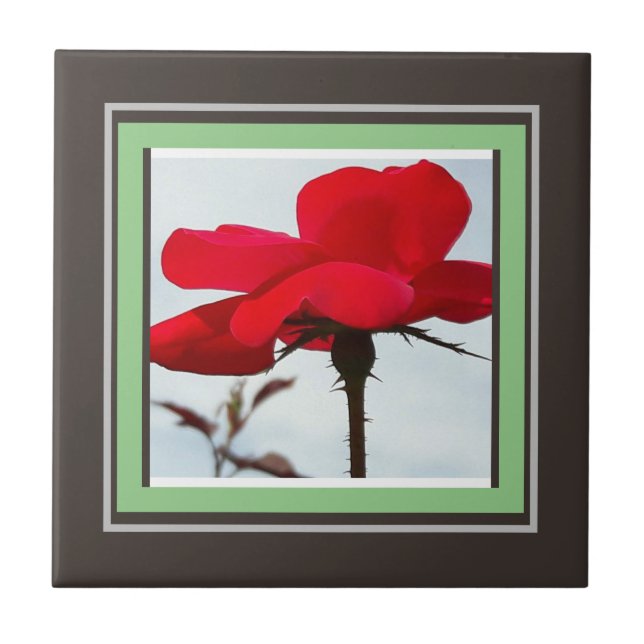 Rose rot fliese (Vorderseite)