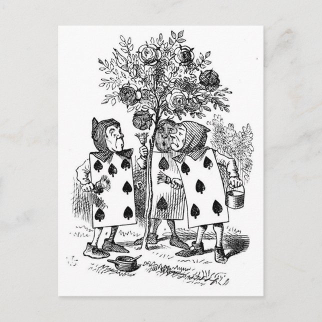 Rose rot zeichnen postkarte (Vorderseite)