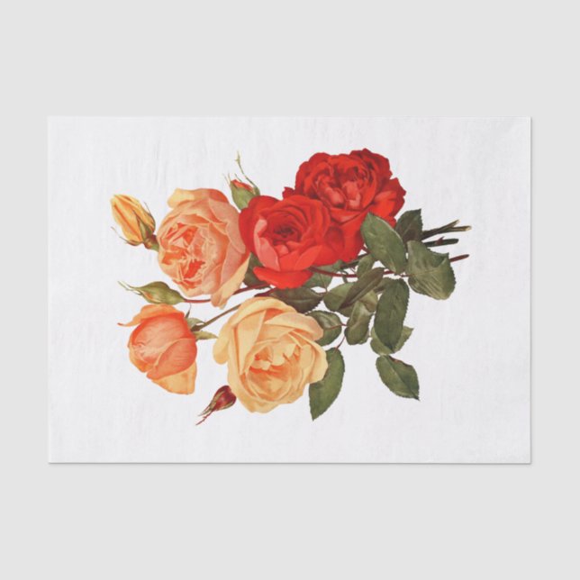 Rose Roter Pfirsichfarben Orange Blume Blütenfarbe Seidenpapier (Vorderseite)