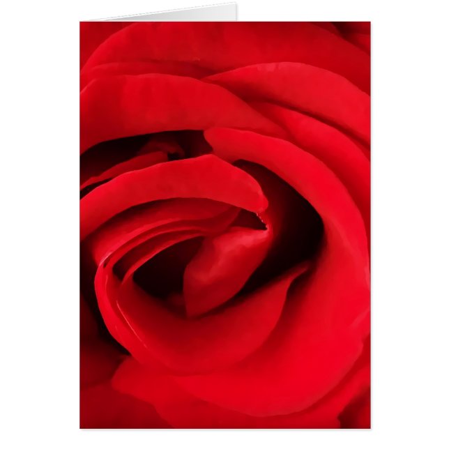 Rose rouge (Devant)