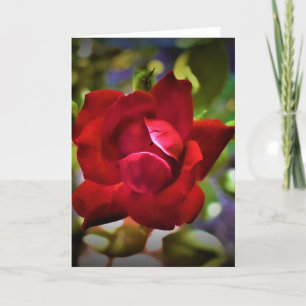 Rose rouge, carte