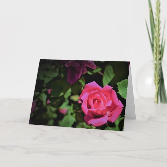 Rose rouge, carte (Devant)