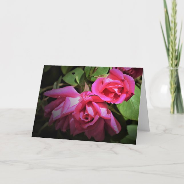 Rose rouge, carte (Devant)