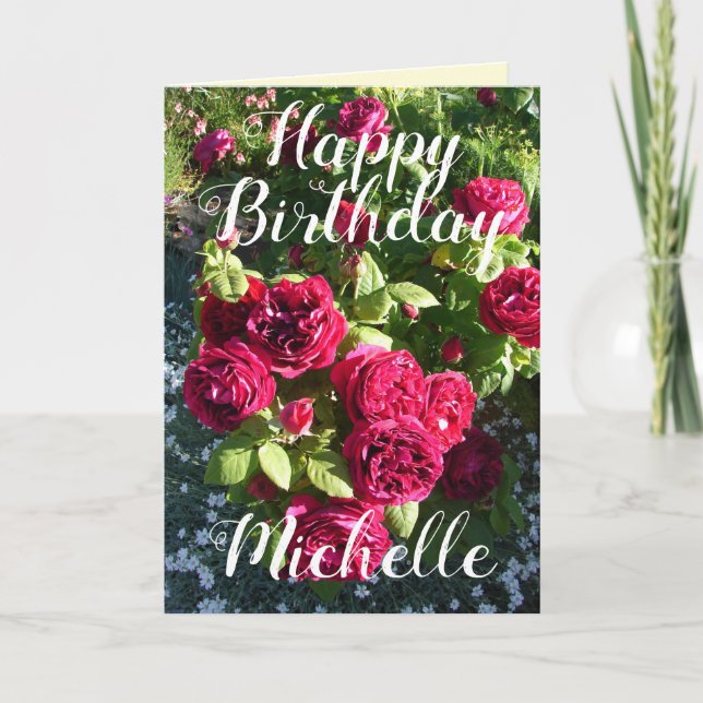 Rose rouge Fleur Jardin Rose fleurie Carte d'anniv (Devant)