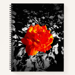 Rose rouge Personnalisé Carnet spiral 8,5 po x 11