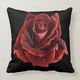 Rose rouge sur le coussin Coussin noir