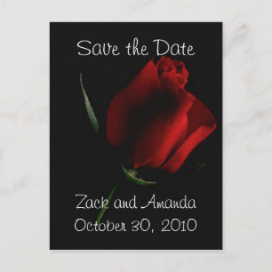 Rose rouge sur noir - invitation