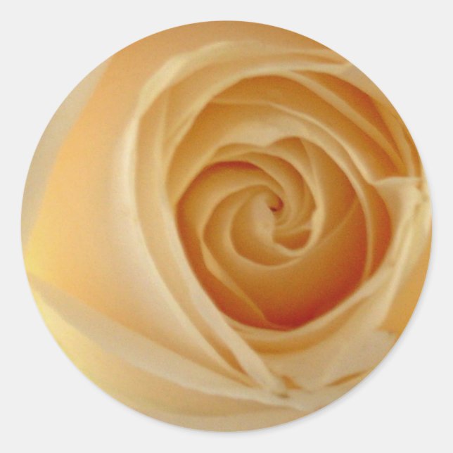 Rose Runder Aufkleber (Vorderseite)