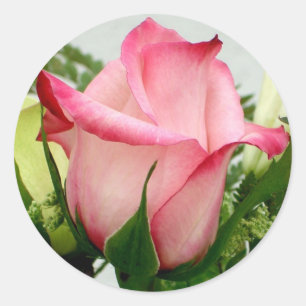 Rose Runder Aufkleber