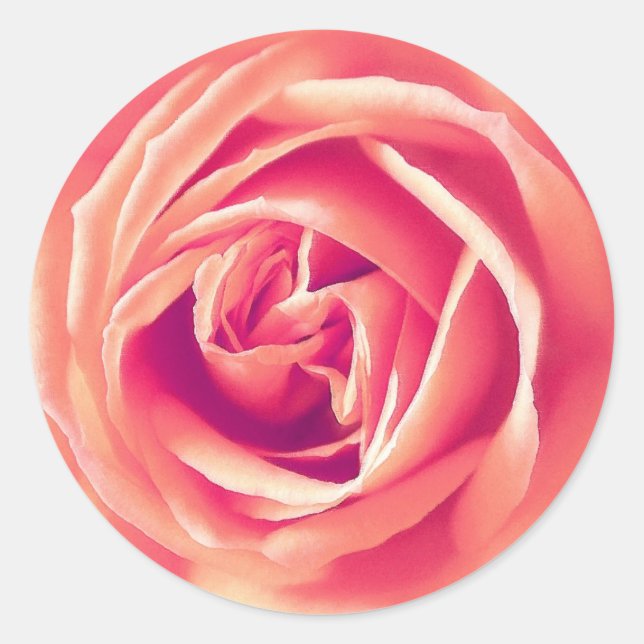 Rose Runder Aufkleber (Vorderseite)