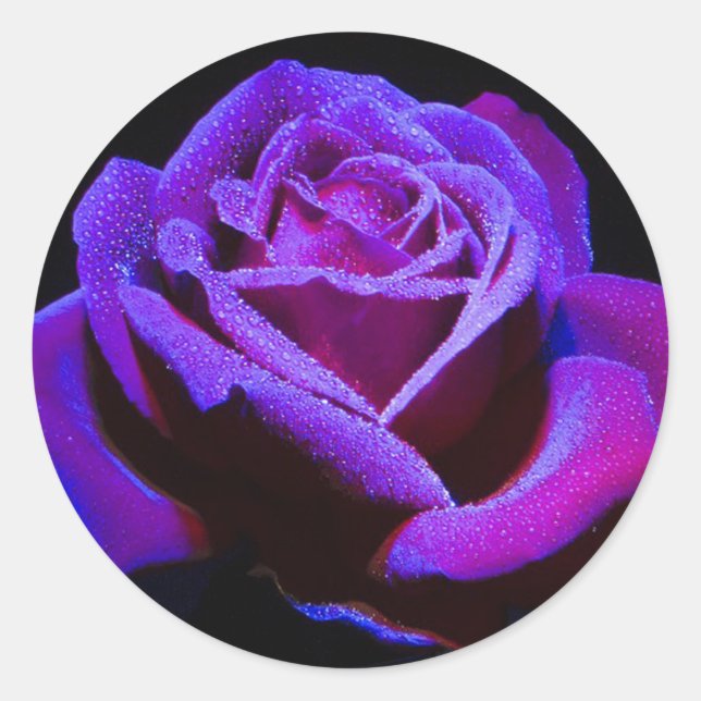 Rose Runder Aufkleber (Vorderseite)