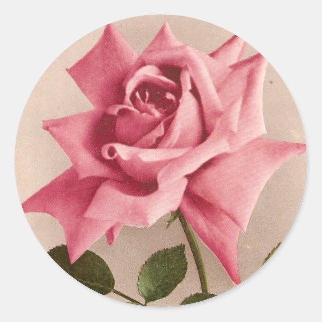 Rose Runder Aufkleber (Vorderseite)