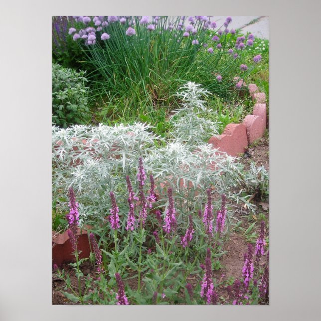 Rose Salvia, Artemesia und Chips Poster (Vorne)