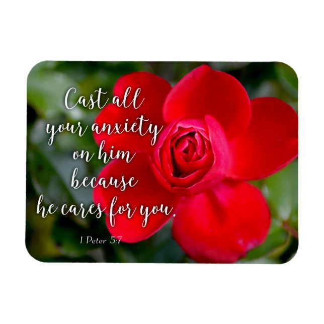 Rose Schlagen Sie all Ihre Angst Christliche Bibel Magnet (Horizontal)