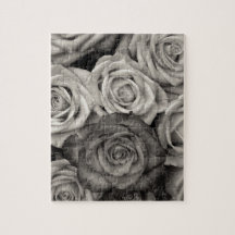 ROSE Schwarz-Weiß-Foto