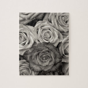 ROSE Schwarz-Weiß-Foto
