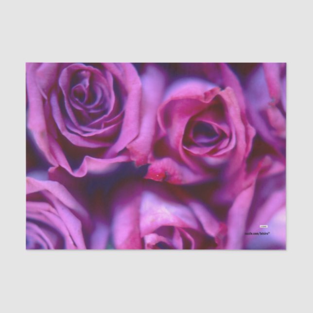 Rose Seidenpapier (Vorderseite)