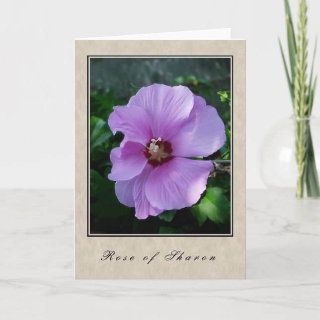Rose Sharon - Blumenserie Karte (Vorderseite)