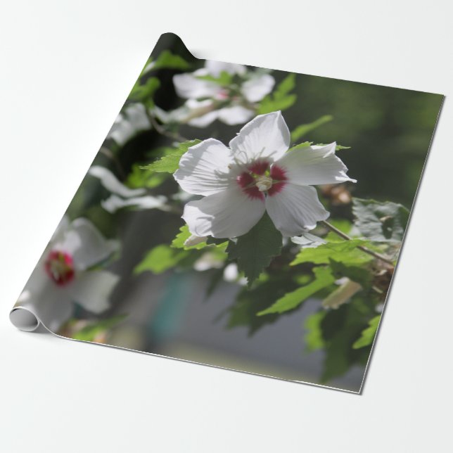 Rose Sharon Geschenkpapier (Ungerollt)
