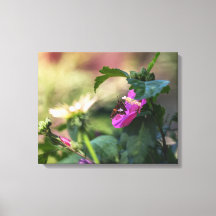 Rose Sharon und Besucher