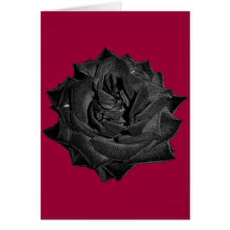 Rose simple de noir