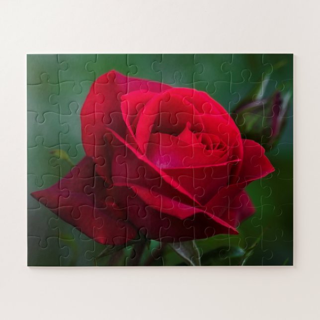 Rose sind 16"x20" einfach (Horizontal)