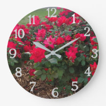 ROSE SIND ROT