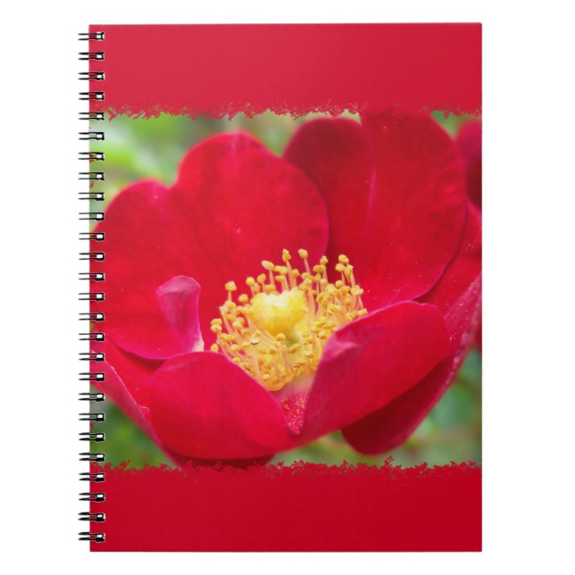 Rose sind rot Notebook Notizblock (Vorderseite)