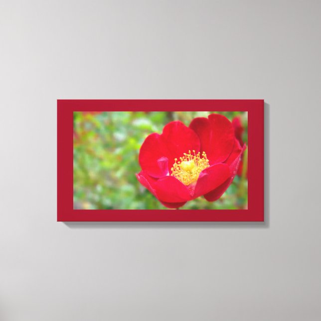 Rose sind rote Leinwand (Vorderseite)