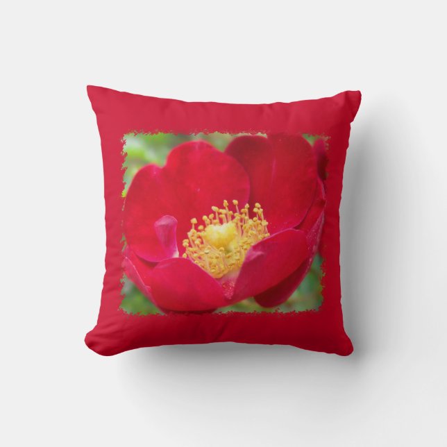 Rose sind rotes Kissen (Vorderseite)