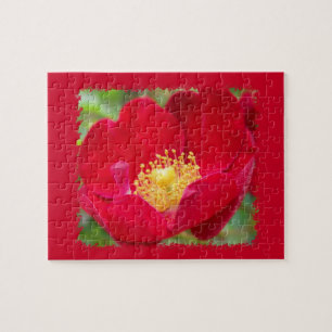 Rose sind rotes Rätsel