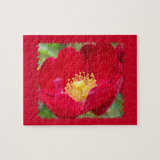 Rose sind rotes Rätsel (Horizontal)