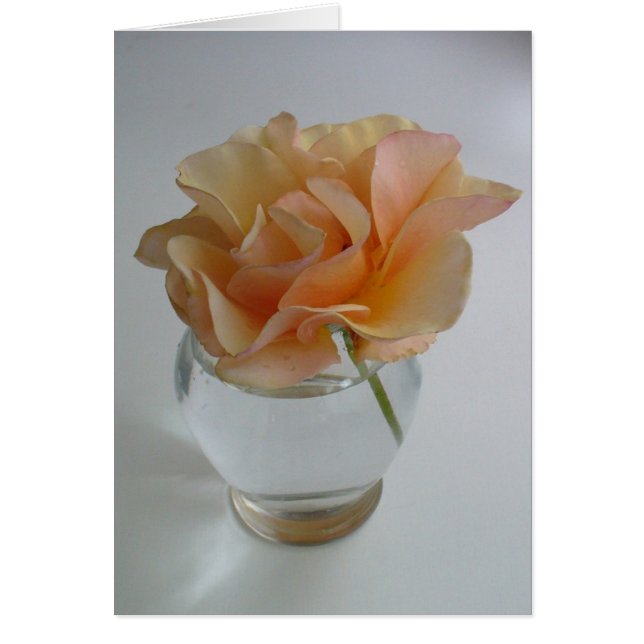 Rose souple (Devant)