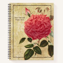 Rose Souvenir de la Malmaison Notizbuch